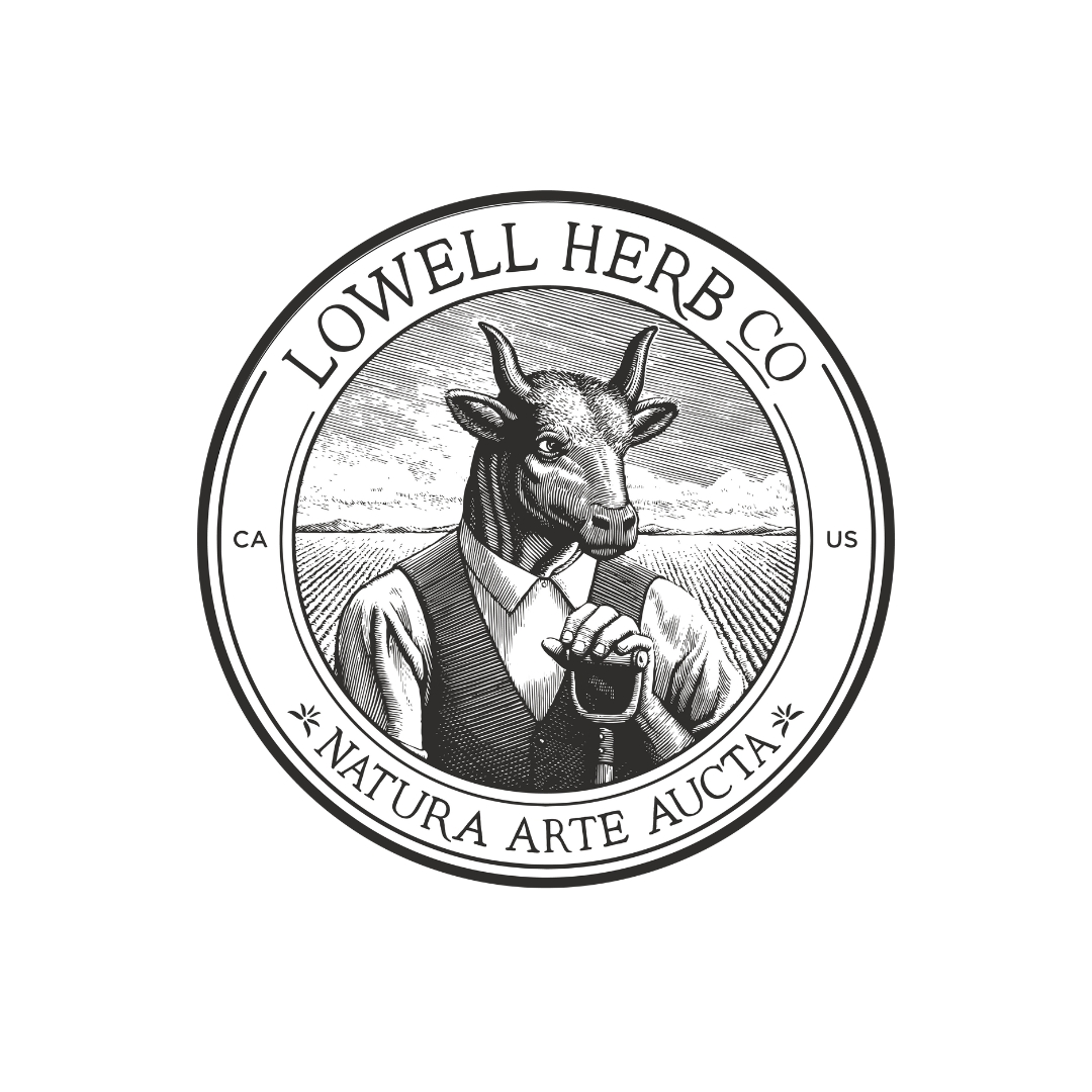 Logo 7
